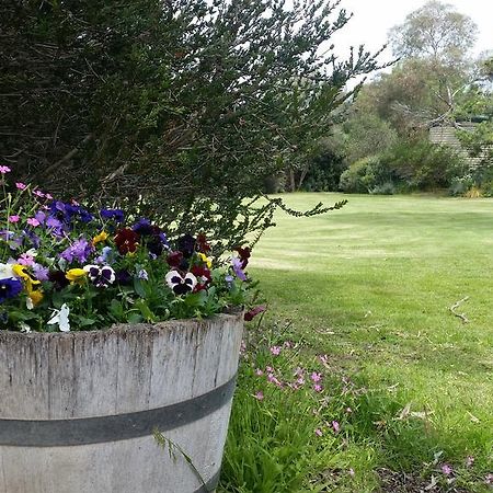 Padthaway Caravan Park Exterior photo